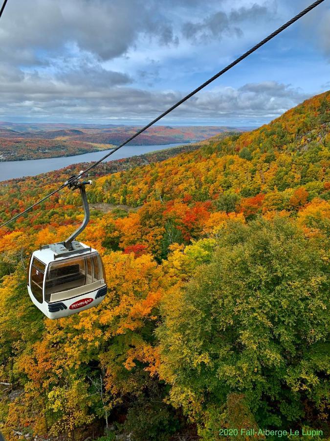 Auberge Le Lupin-Self Check-In Mont-Tremblant Exterior photo